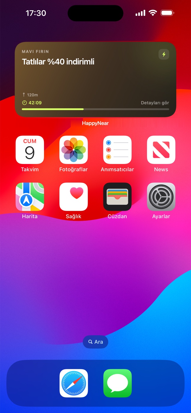 Telefon ana ekranı
